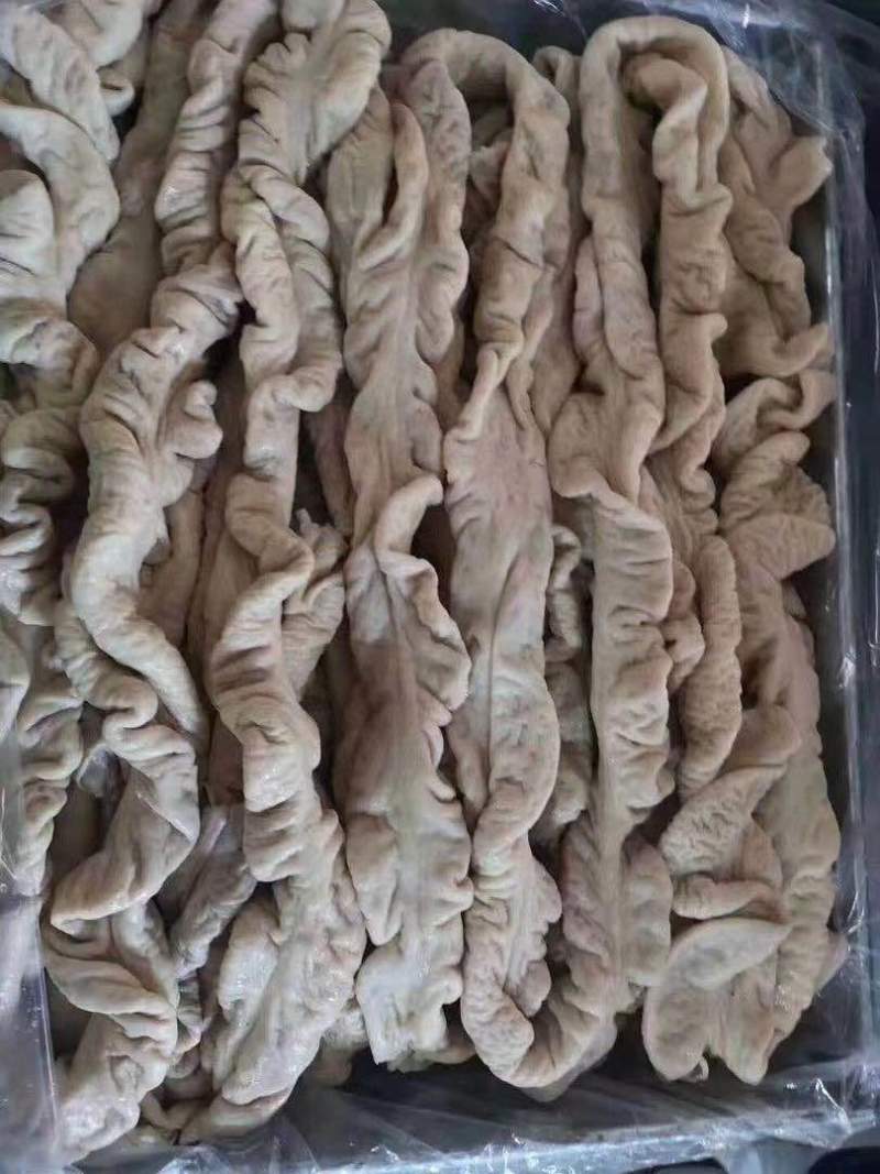 八成熟猪大肠
