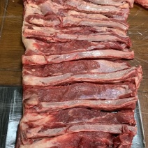 牛肋条肉大量现货量大从优