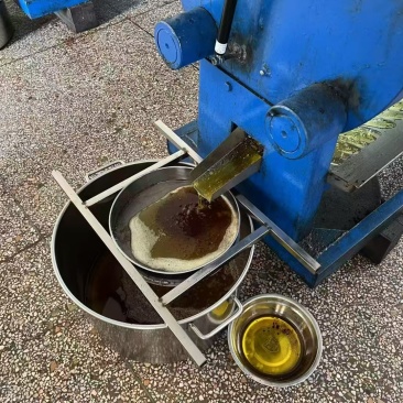 山茶油