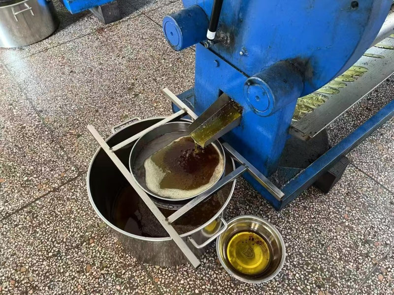 山茶油