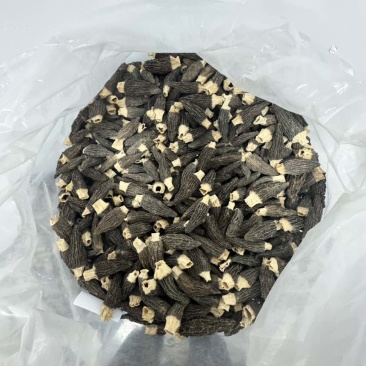 羊肚菌产地批发