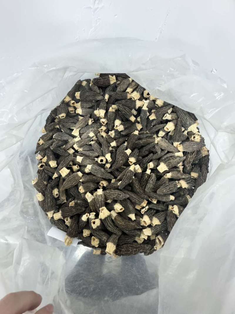羊肚菌产地批发