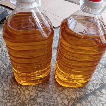 ***压榨山茶油