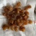 大量批发龙眼肉桂圆干冷库保存颜色漂亮量大价优