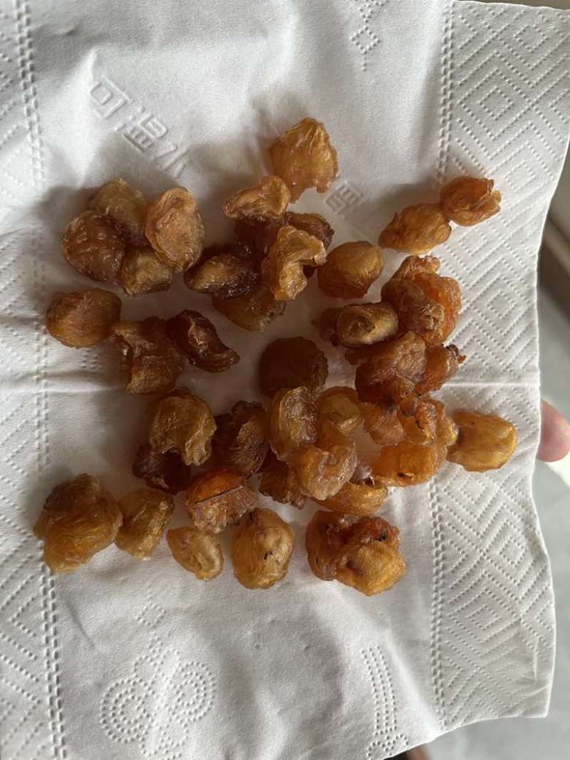 大量批发龙眼肉桂圆干冷库保存颜色漂亮量大价优