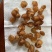 大量批发龙眼肉桂圆干冷库保存颜色漂亮量大价优