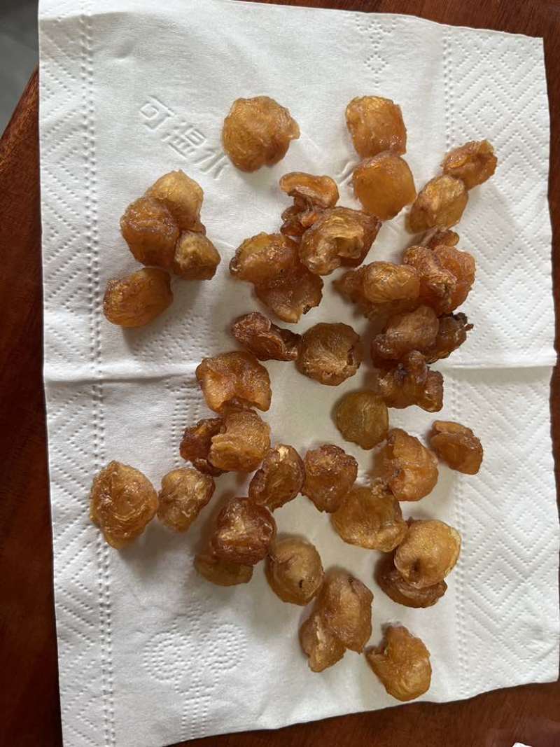 大量批发龙眼肉桂圆干冷库保存颜色漂亮量大价优