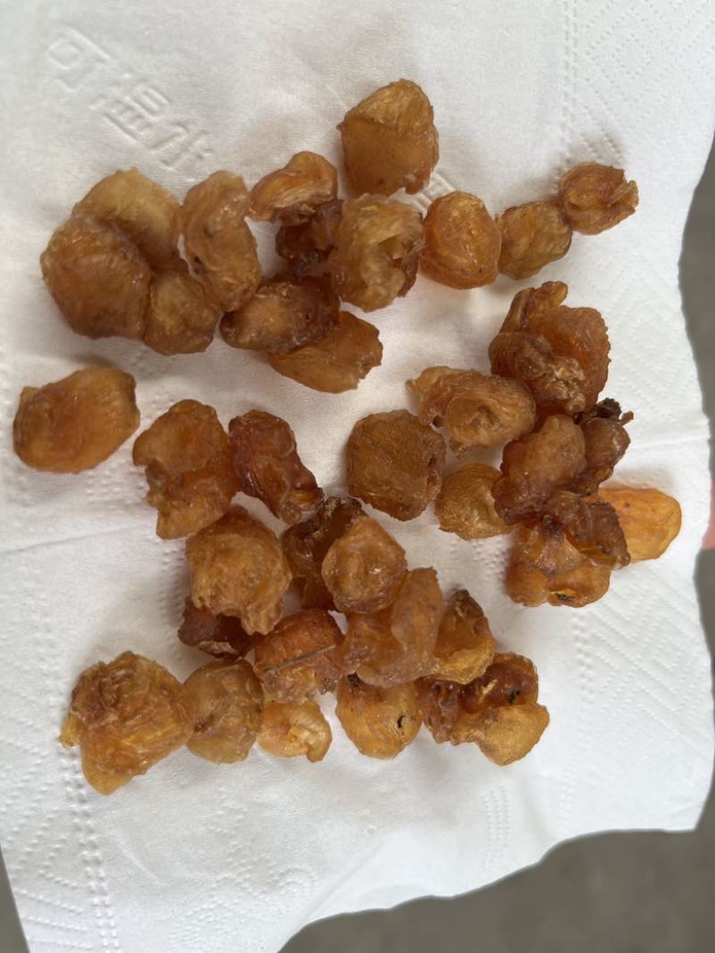 大量批发龙眼肉桂圆干冷库保存颜色漂亮量大价优
