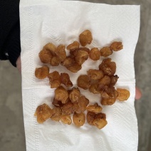 大量批发龙眼肉桂圆干冷库保存颜色漂亮量大价优