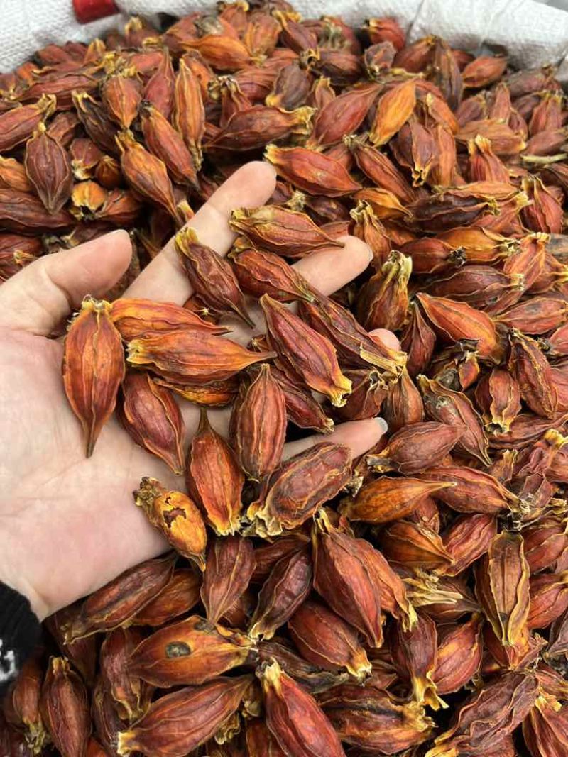 批发香料天然着色剂植物染色原料栀子水栀子