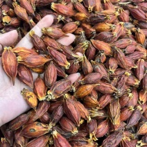 批发香料天然着色剂植物染色原料栀子水栀子