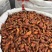 批发香料天然着色剂植物染色原料栀子水栀子