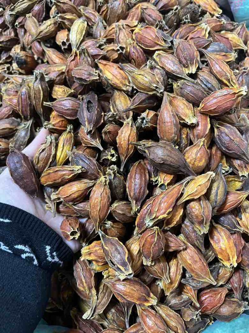 批发香料天然着色剂植物染色原料栀子水栀子