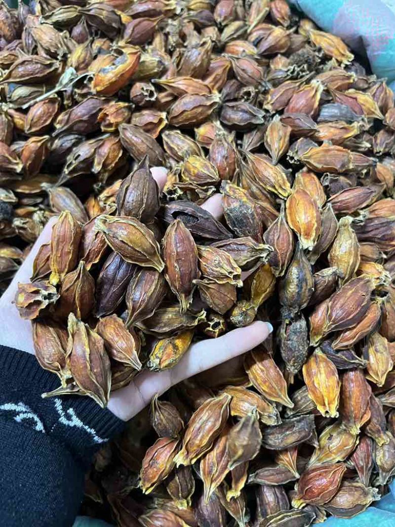 批发香料天然着色剂植物染色原料栀子水栀子