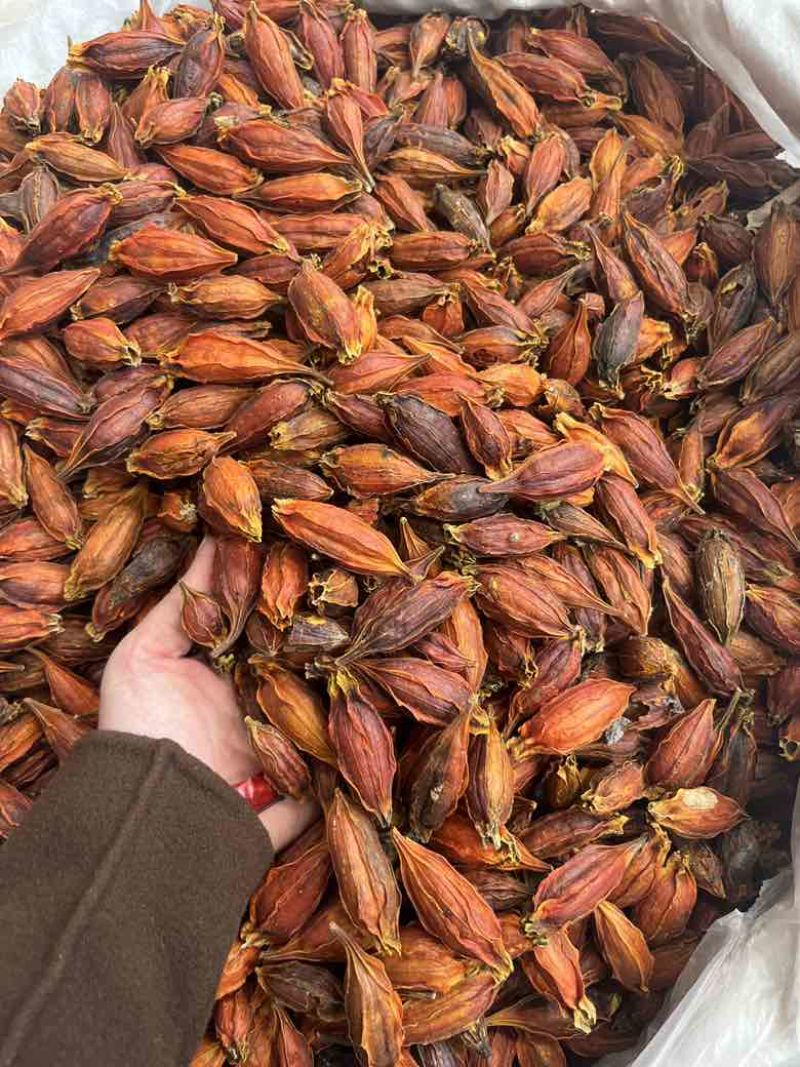 批发香料天然着色剂植物染色原料栀子水栀子