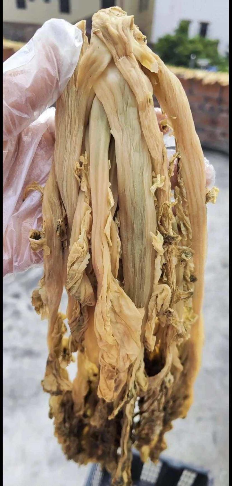 广东惠州梅菜