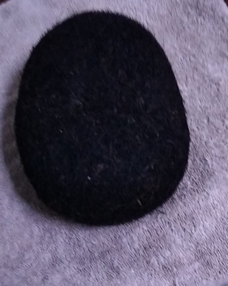 猪宝