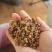 普洱茶