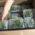 水培豌豆苗一手货源，价格优惠，欢迎采购看货