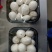 白蘑菇