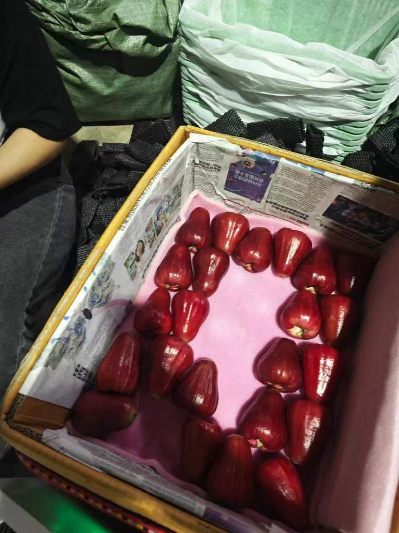 黑金刚莲雾包园直采，对接市场，社区团购，量大从优