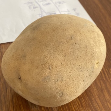 沙地沃土最低0.6库存量大适合长期供应，需要的老板咨