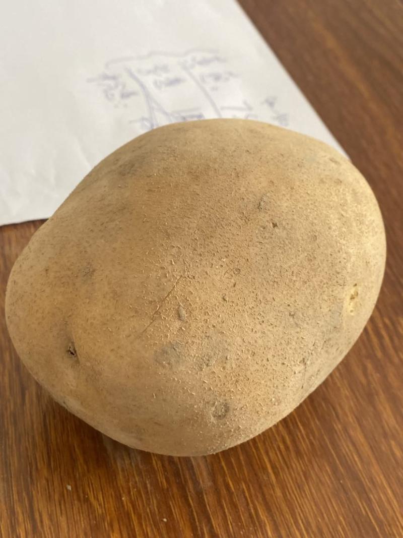 沙地沃土最低0.6库存量大适合长期供应，需要的老板咨