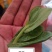 豌豆尖大量上市