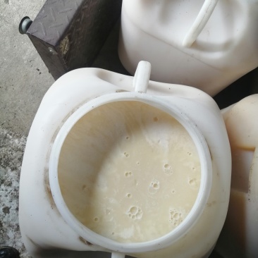 高度椴树雪蜜特价批发