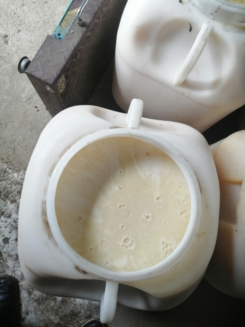 高度椴树雪蜜特价批发