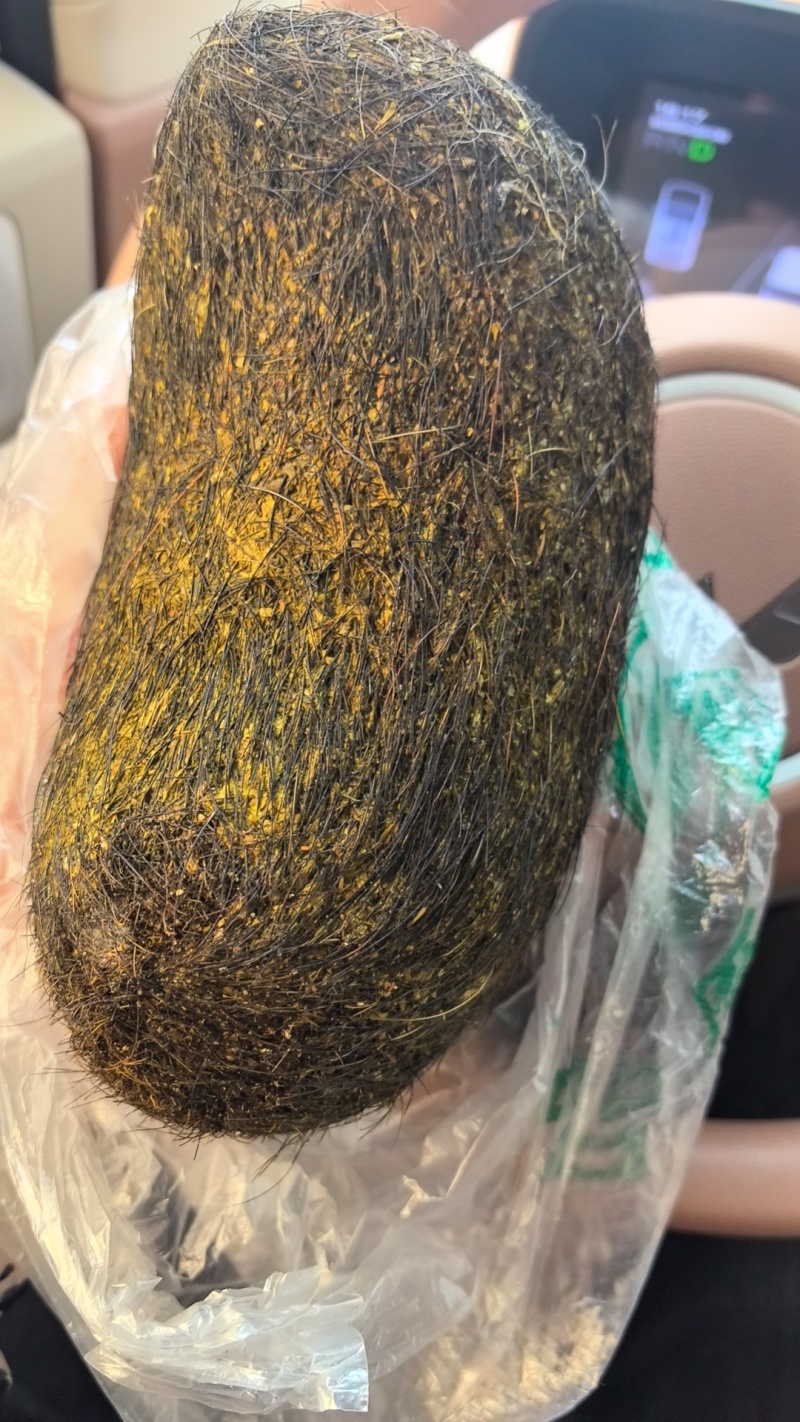 猪宝，也叫朱砂，需要可以联系