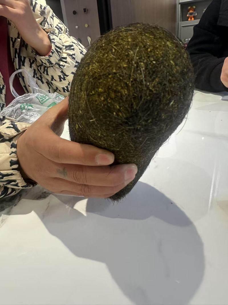 猪宝，也叫朱砂，需要可以联系