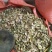野生白花牛奶根