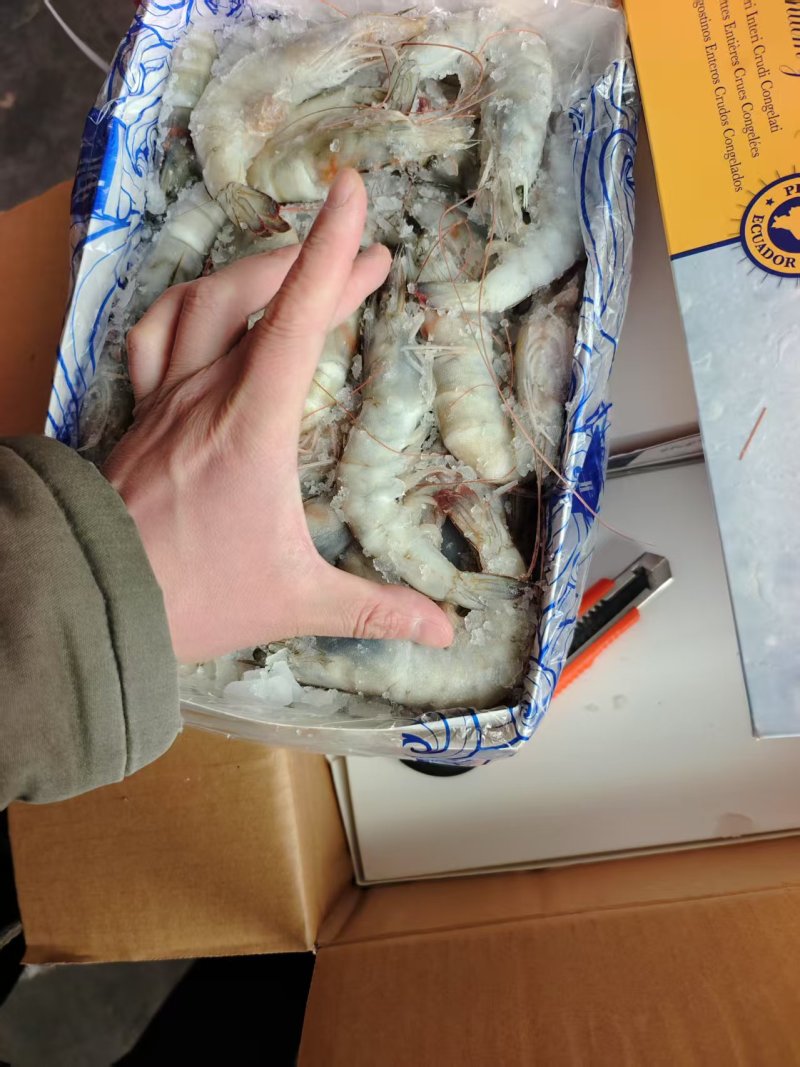 30-40.40-50都有，干货盐冻，价格低