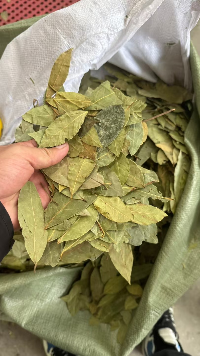 进口香叶，颜色一般