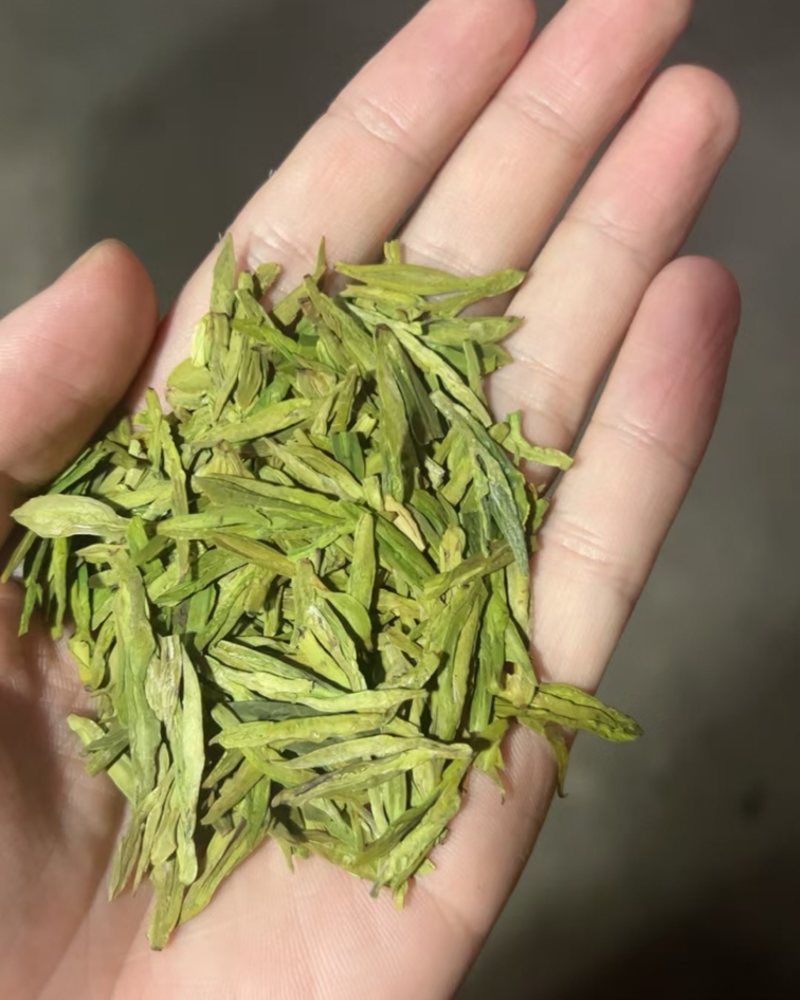 绿版龙井