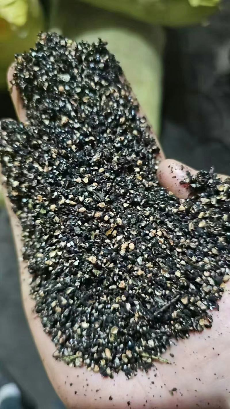 花椒籽，高蛋白高脂肪猪牛羊鸡鸭鹅养殖专用！育肥效果非常明显