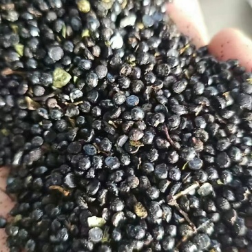 花椒籽，高蛋白高脂肪猪牛羊鸡鸭鹅养殖专用！育肥效果非常明显