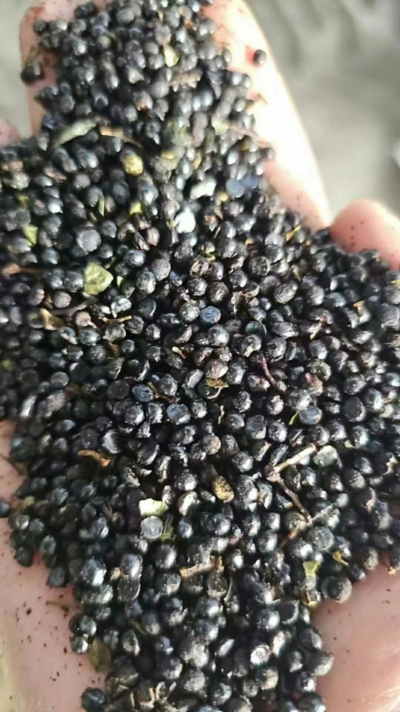 花椒籽，高蛋白高脂肪猪牛羊鸡鸭鹅养殖专用！育肥效果非常明显