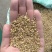 印度进口小茴香99%新标，25公斤一包