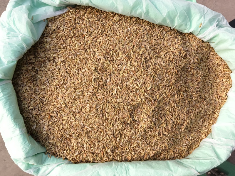 印度进口小茴香99%新标，25公斤一包