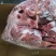 大日期709母猪一号肉，改国产包装临沂提