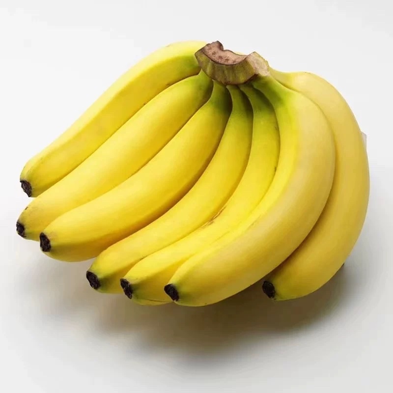 精品香蕉大量供应一手货源品质保证诚信经营欢迎来电
