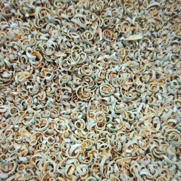 桂丝