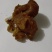 鸡宝