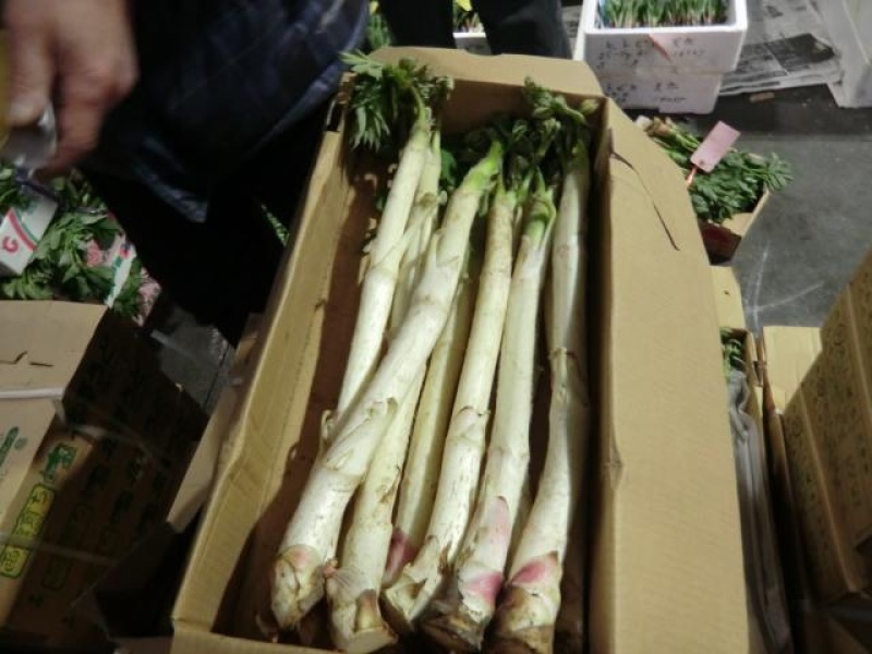 独活枝，野菜，5以上包邮