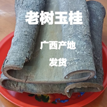 特厚桂板桂皮广西特产玉桂皮
