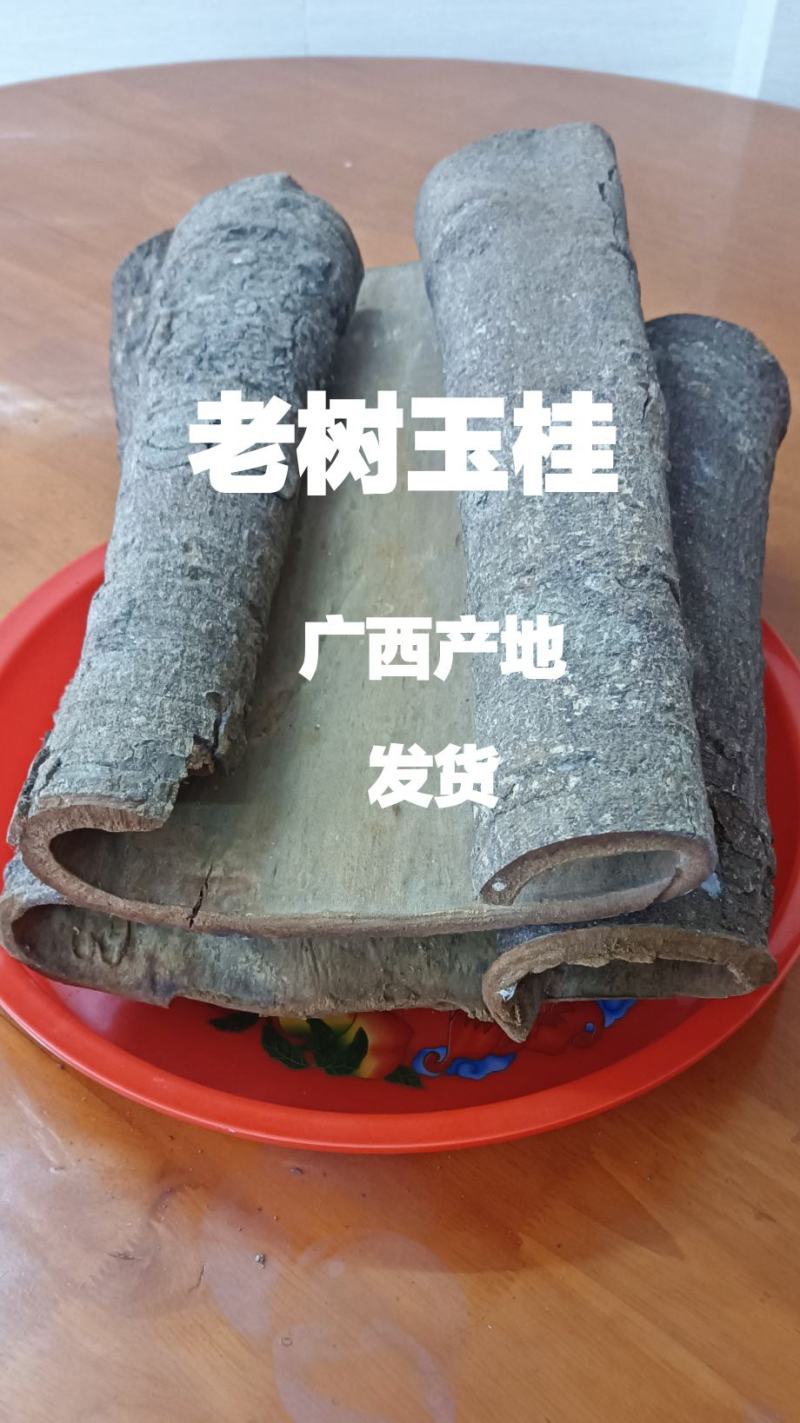 特厚桂板桂皮广西特产玉桂皮
