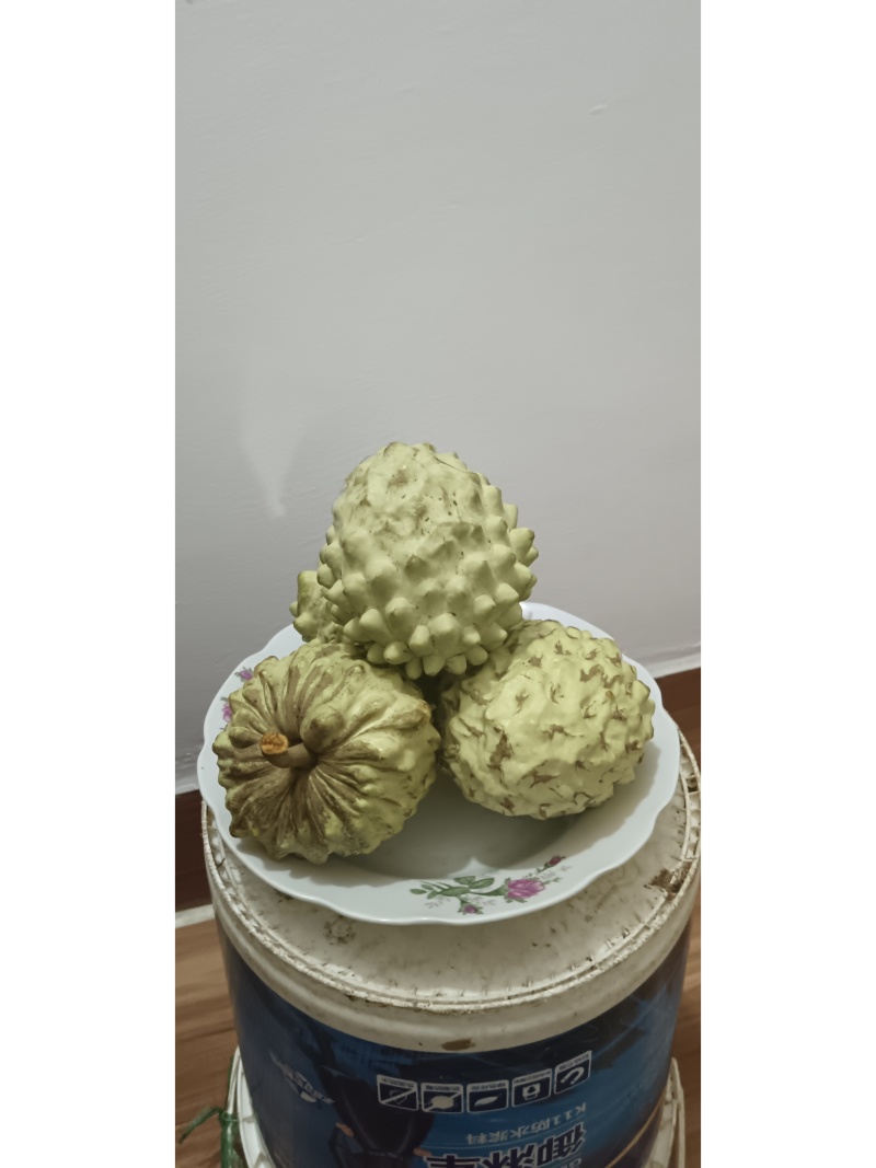 凤梨释迦果