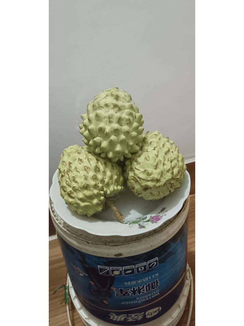 凤梨释迦果